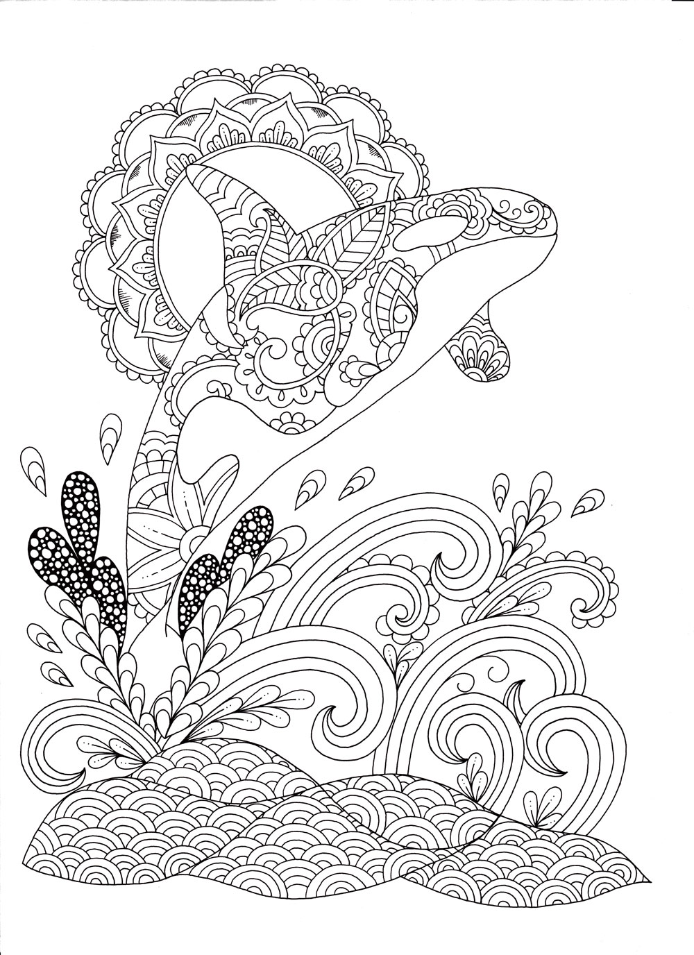 Download Benefits Of Stress Relieving Adult Coloring Books